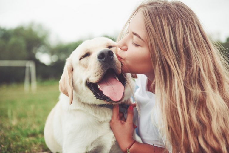 Understanding Your Pet Emotions: The Key to a Stronger Bond