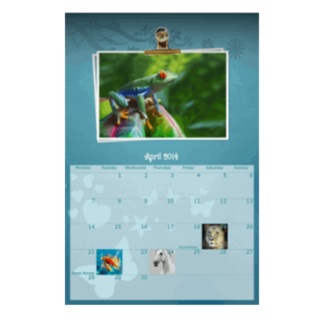Photo Calendar 17