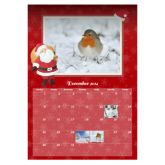 Photo Calendar 13